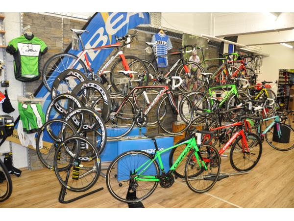 Bild 10 von Catenasport Ges.m.b.H