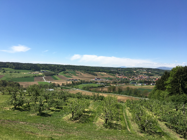 Bild 19 von Maluhof - Hofladen, Festschenke, Erlebnisgarten