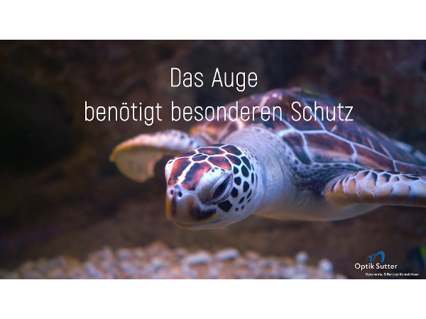 Bild 13 von Optik Sutter e.U.