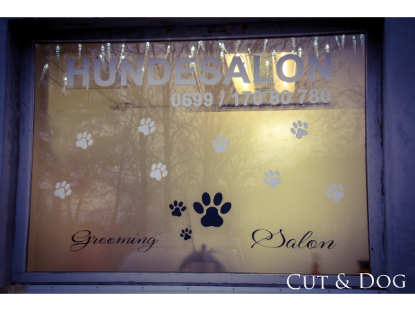 Bild 2 von Hundesalon Cut & Dog