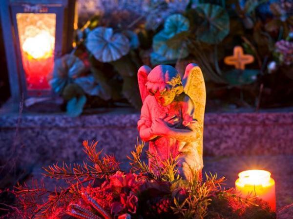 Bild 4 von Anima Tierbestattung - Tierfriedhof Waldesruh - Büro