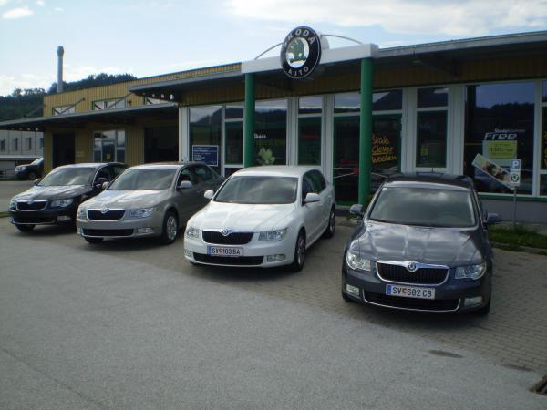 Bild 1 von SKODA Jakob Pistotnig GmbH