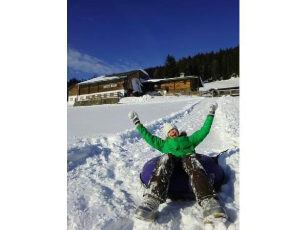 Bild 8 von Stoanerhof - Heidi u Engelbert Walcher