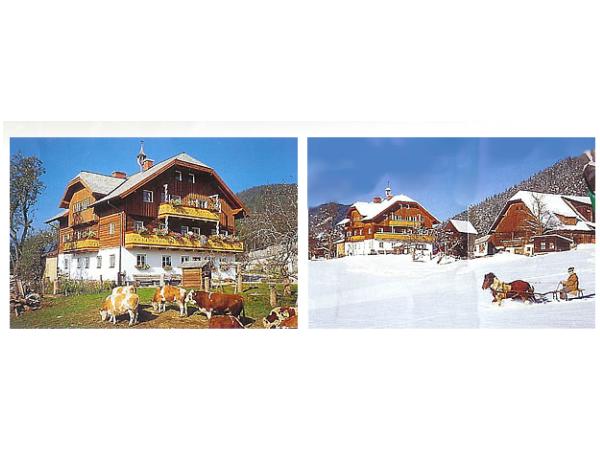 Bild 1 von Stoanerhof - Heidi u Engelbert Walcher