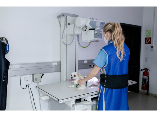 Bild 4 von Tierklinik Sattledt