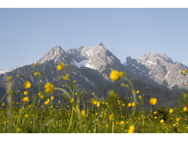 Bild 31 von Hotel Ritzenhof