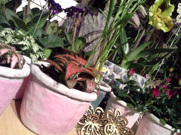 Bild 1 von Floral Design Zihr Michael J. Zihr