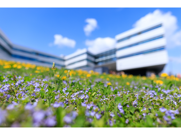 Bild 1 von FH Campus Wien