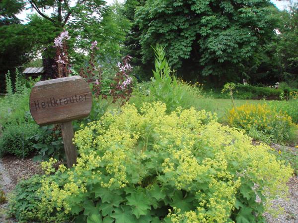 Bild 1 von Kräutergarten