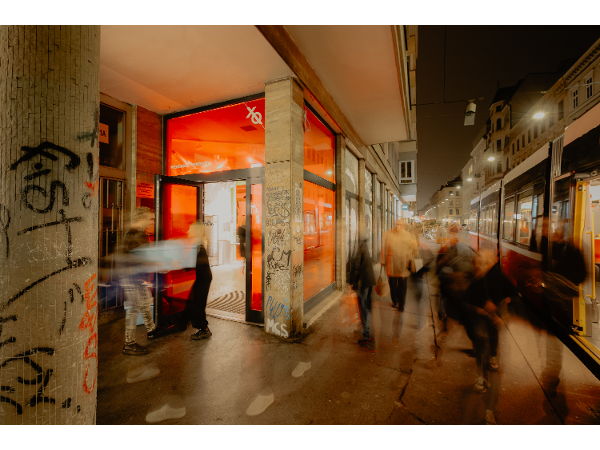 Bild 2 von XQ Studio // Piercingstudio & Jewelry