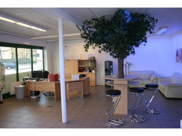 Bild 4 von Autoglascenter Arthur Schindlmaier