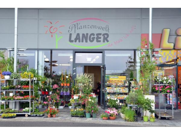 Bild 1 von Blumen Langer