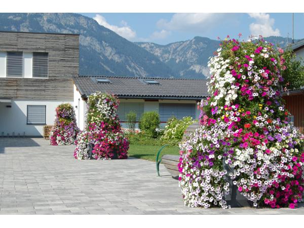 Bild 1 von Plantscape Österreich