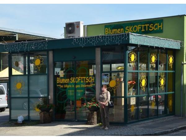 Bild 1 von Blumen Maureen