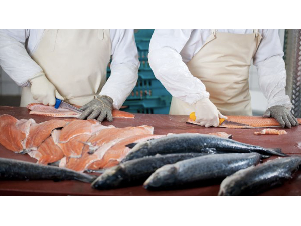 Bild 5 von Royal Fish GmbH