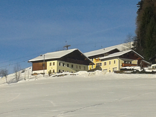 Bild 34 von Reitlhof
