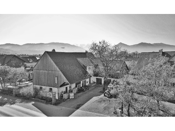 Bild 2 von Dietrich Vorarlberger Kostbarkeiten