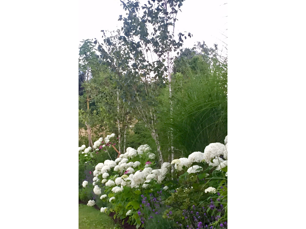 Bild 4 von Gartenreich Monika Schüttengruber