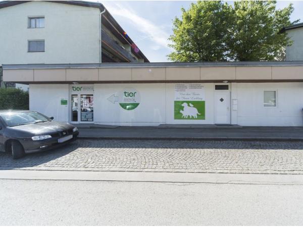 Bild 1 von Dipl-TA Marcus Egger