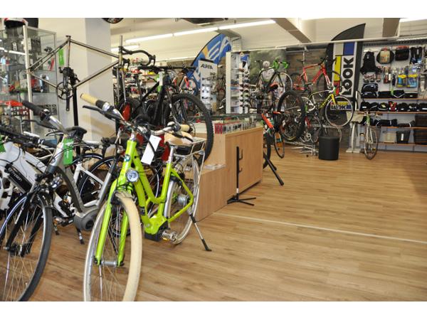 Bild 12 von Catenasport Ges.m.b.H