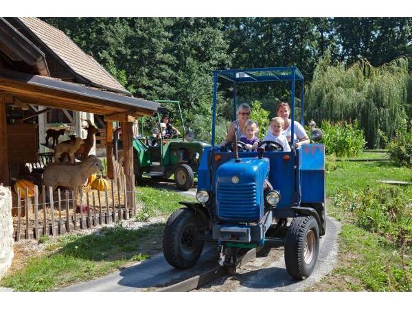 Bild 9 von Familypark GmbH