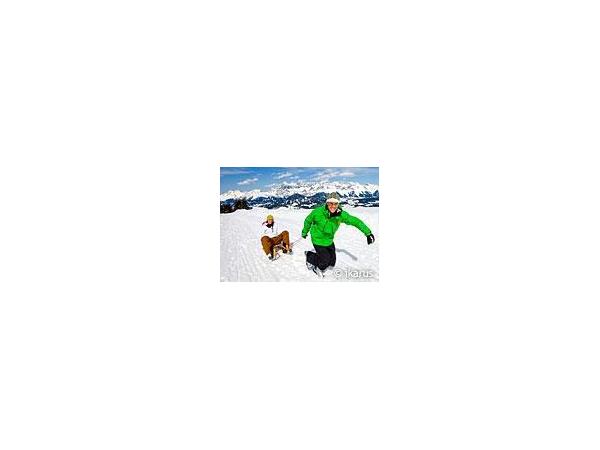 Bild 1 von Angererhof - Gerhild und Heinz Hutegger