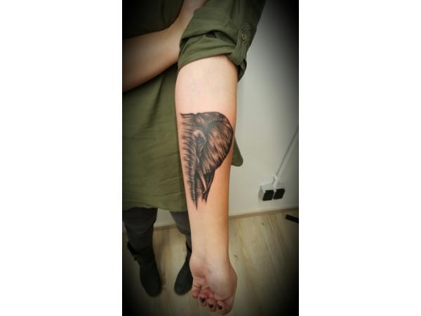 Bild 15 von DIE KLINIK - piercing | tattoo | permanent make up