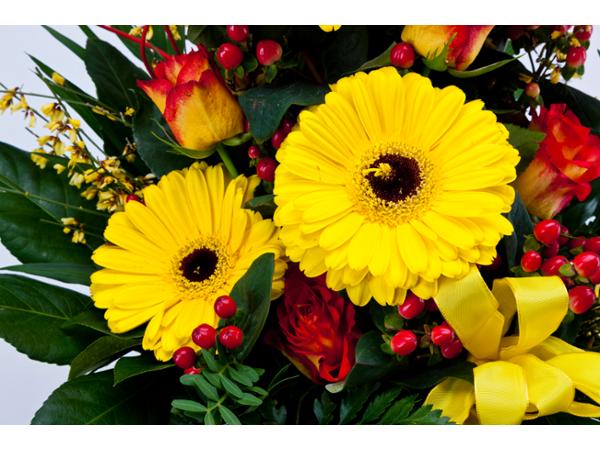 Bild 24 von Blumen Kleissner