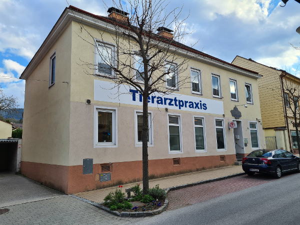 Bild 8 von Tierarztpraxis Wess GmbH