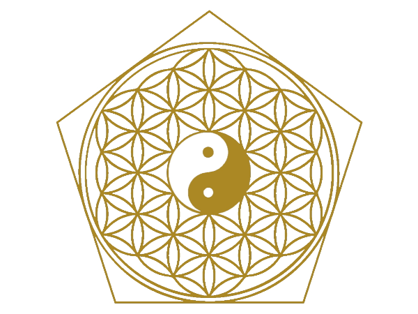 Bild 3 von Hara Shiatsu Praxis Wien - Tobias König