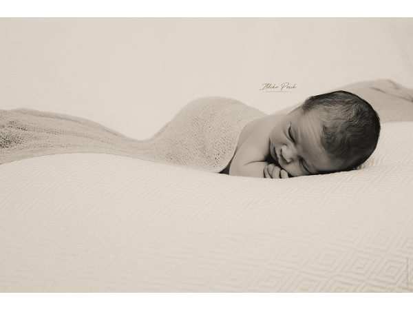 Bild 2 von Ildiko Posch Photography