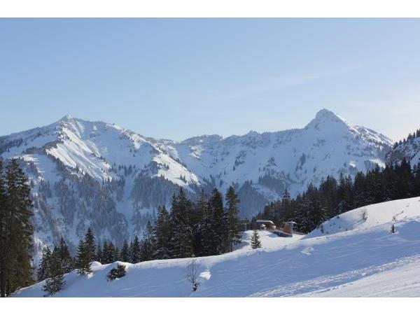 Bild 5 von Krinnenalpe, Martin Rief