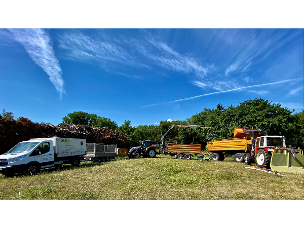 Bild 6 von David Sailer Baum- und Gartenservice