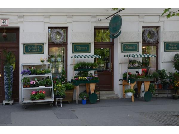 Bild 1 von Blumen Fink - Meisterfloristik - Inh Maximiliane Fink