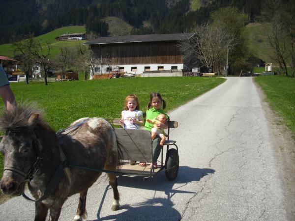 Bild 2 von Eadahof Familie Kolb