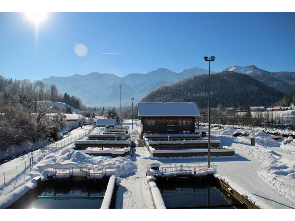 Bild 1 von RHV Hallstättersee