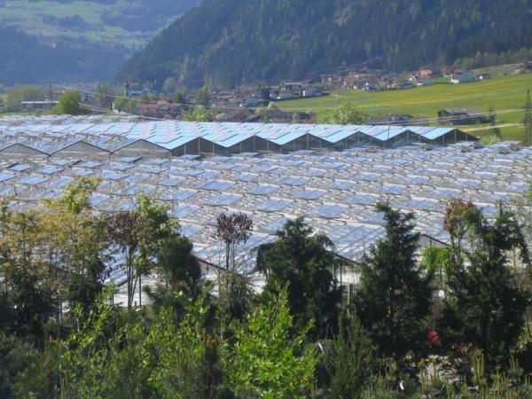Bild 13 von Gartenbau Kerschdorfer GmbH