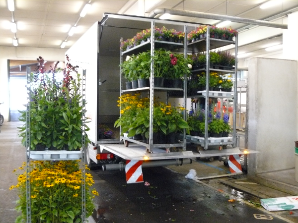 Bild 8 von PENZO Flora Flötzersteig GmbH - Blumenhalle