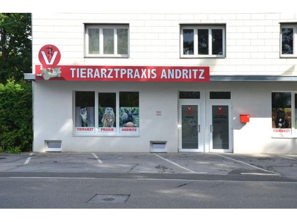 Bild 1 von Mag. Hopfer Walter