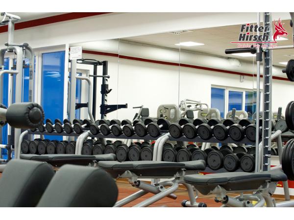 Bild 7 von FITTER HIRSCH - Premium Fitness Sebersdorf