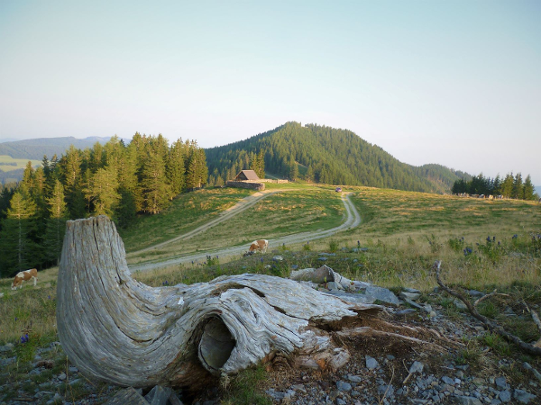 Bild 2 von Naturpark Almenland