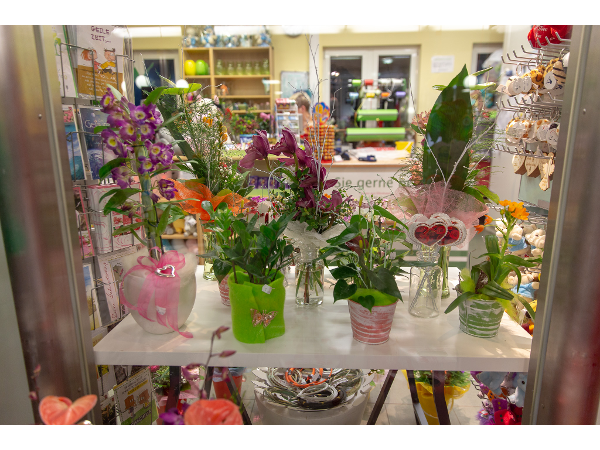 Bild 12 von Griessmaier Blumen Donauspital