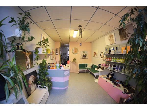 Bild 2 von Hundesalon Wash´N´Wag