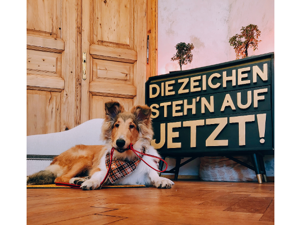 Bild 5 von Psychotherapie Ewald Klug-Schwarzl