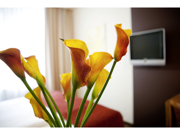 Bild 20 von BOUTIQUE HOTEL DAS TIGRA