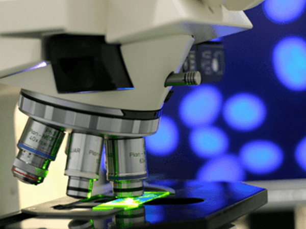 Bild 1 von ITK- Zentrum für klinische Immunologie GmbH