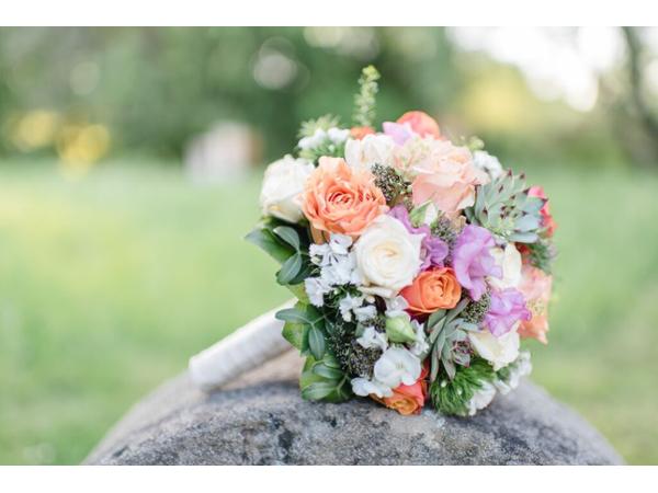 Bild 1 von Blumen Höfer - Blumen & Geschenksideen
