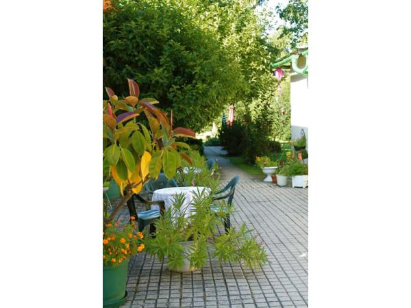 Bild 3 von Pension Margit 3-Sterne Pension garni