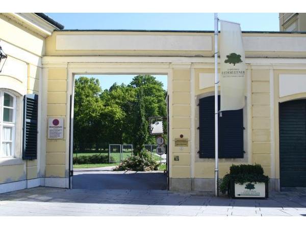 Bild 1 von Markus Lederleitner GmbH - Die Orangerie Laxenburg