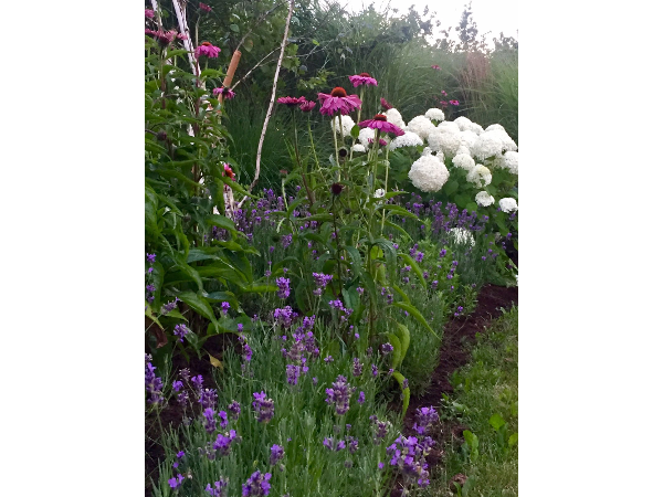 Bild 7 von Gartenreich Monika Schüttengruber